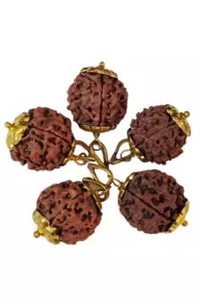 Original 5 Mukhi Nepali Rudraksha Gold Plated Pendant at Wholesale Rate Chakra Healing Five Faced Bead Jewelry 1 Pcs