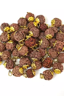 Original 5 Mukhi Nepali Rudraksha Gold Plated Pendant at Wholesale Rate Chakra Healing Five Faced Bead Jewelry 1 Pcs