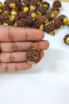 Original 5 Mukhi Nepali Rudraksha Gold Plated Pendant at Wholesale Rate Chakra Healing Five Faced Bead Jewelry 1 Pcs