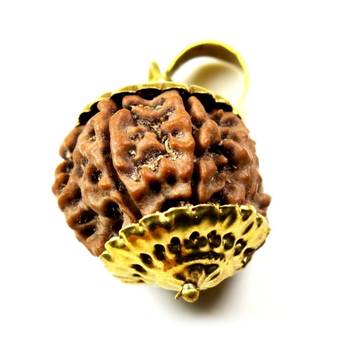 Original 6 Mukhi Nepali Rudraksha Gold Plated Pendant at Wholesale Rate Chakra Healing Six Face Bead Jewellery 1 Pcs 1