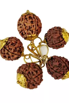 Original 6 Mukhi Nepali Rudraksha Gold Plated Pendant at Wholesale Rate Chakra Healing Six Face Bead Jewellery 1 Pcs