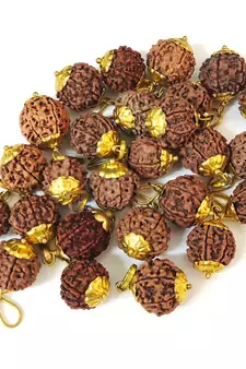 Original 6 Mukhi Nepali Rudraksha Gold Plated Pendant at Wholesale Rate Chakra Healing Six Face Bead Jewellery 1 Pcs