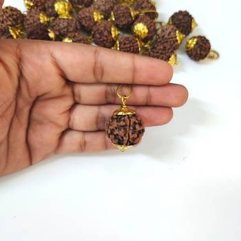 Original 6 Mukhi Nepali Rudraksha Gold Plated Pendant at Wholesale Rate Chakra Healing Six Face Bead Jewellery 1 Pcs 4