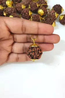 Original 6 Mukhi Nepali Rudraksha Gold Plated Pendant at Wholesale Rate Chakra Healing Six Face Bead Jewellery 1 Pcs