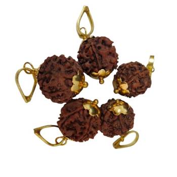 Original 7 Mukhi Nepali Rudraksha Gold Plated Pendant at Wholesale Rate Chakra Healing Seven Face Bead Jewelry 1 Pcs 2