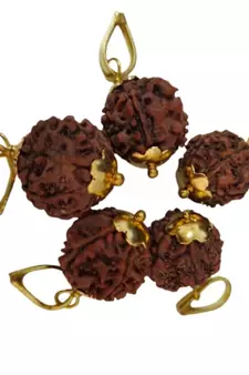 Original 7 Mukhi Nepali Rudraksha Gold Plated Pendant at Wholesale Rate Chakra Healing Seven Face Bead Jewelry 1 Pcs