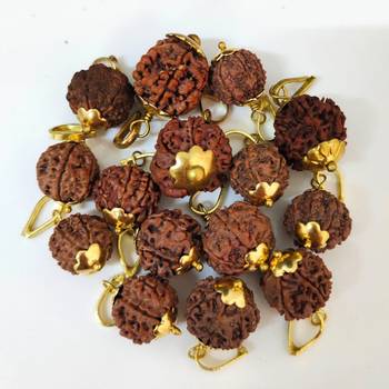 Original 7 Mukhi Nepali Rudraksha Gold Plated Pendant at Wholesale Rate Chakra Healing Seven Face Bead Jewelry 1 Pcs 3