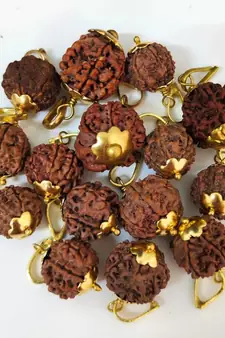 Original 7 Mukhi Nepali Rudraksha Gold Plated Pendant at Wholesale Rate Chakra Healing Seven Face Bead Jewelry 1 Pcs