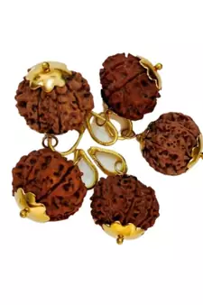Original 8 Mukhi Nepali Rudraksha Gold Plated Pendant at Wholesale Rate Chakra Healing Eight Face Bead Jewelry 1 Pcs