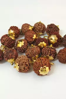 Original 8 Mukhi Nepali Rudraksha Gold Plated Pendant at Wholesale Rate Chakra Healing Eight Face Bead Jewelry 1 Pcs
