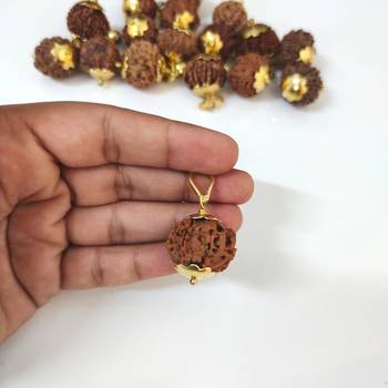 Original 8 Mukhi Nepali Rudraksha Gold Plated Pendant at Wholesale Rate Chakra Healing Eight Face Bead Jewelry 1 Pcs 4