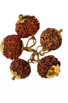 Original 9 Mukhi Nepali Rudraksha Gold Plated Pendant at Wholesale Rate Chakra Healing NineFaced Bead Jewelry 1 Pcs