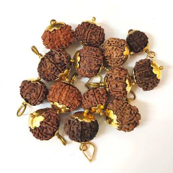 Original 9 Mukhi Nepali Rudraksha Gold Plated Pendant at Wholesale Rate Chakra Healing NineFaced Bead Jewelry 1 Pcs 3