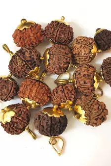 Original 9 Mukhi Nepali Rudraksha Gold Plated Pendant at Wholesale Rate Chakra Healing NineFaced Bead Jewelry 1 Pcs
