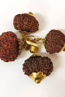 Original 11 Mukhi Nepali Rudraksha Gold Plated Pendant at Wholesale Rate Chakra Healing Eleven Faced Beads 1 Pcs