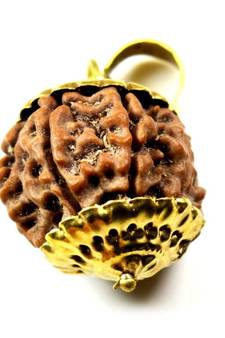 Original 12 Mukhi Nepali Rudraksha Gold Plated Pendant at Wholesale Rate Chakra Healing Twelve Faced Beads 1 Pcs