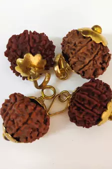 Original 12 Mukhi Nepali Rudraksha Gold Plated Pendant at Wholesale Rate Chakra Healing Twelve Faced Beads 1 Pcs