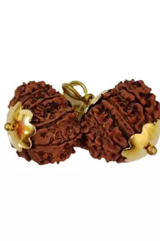 Original 13 Mukhi Nepali Rudraksha Gold Plated Pendant at Wholesale Rate Chakra Healing Thirteen Faced Beads 1 Pcs
