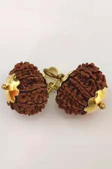 Original 13 Mukhi Nepali Rudraksha Gold Plated Pendant at Wholesale Rate Chakra Healing Thirteen Faced Beads 1 Pcs
