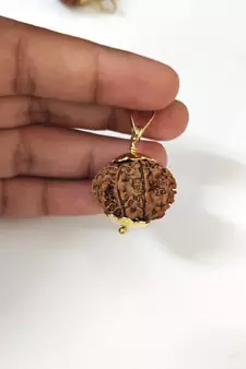 Original 13 Mukhi Nepali Rudraksha Gold Plated Pendant at Wholesale Rate Chakra Healing Thirteen Faced Beads 1 Pcs