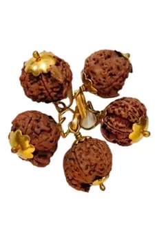 Original Shree Ganesha Nepali Rudraksha Gold Plated Pendant at Wholesale Rate Chakra Healing Jewellery Beads 1 Pcs