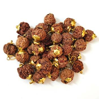 Original Shree Ganesha Nepali Rudraksha Gold Plated Pendant at Wholesale Rate Chakra Healing Jewellery Beads 1 Pcs 3