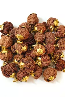 Original Shree Ganesha Nepali Rudraksha Gold Plated Pendant at Wholesale Rate Chakra Healing Jewellery Beads 1 Pcs