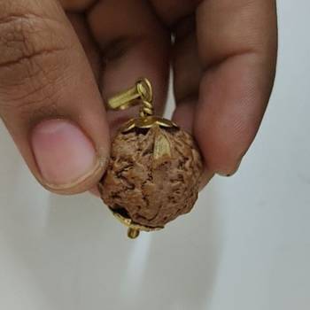 Original Shree Ganesha Nepali Rudraksha Gold Plated Pendant at Wholesale Rate Chakra Healing Jewellery Beads 1 Pcs 4