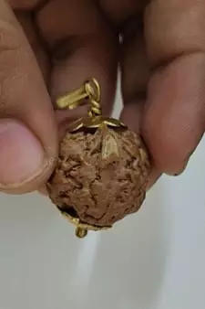 Original Shree Ganesha Nepali Rudraksha Gold Plated Pendant at Wholesale Rate Chakra Healing Jewellery Beads 1 Pcs