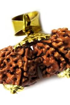 Original Shri Gauri Shankar Nepali Rudraksha Gold Plated Pendant at Wholesale Rate Chakra Healing Beads 1 Pcs