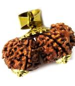 Original Shri Gauri Shankar Nepali Rudraksha Gold Plated Pendant at Wholesale Rate Chakra Healing Beads 1 Pcs