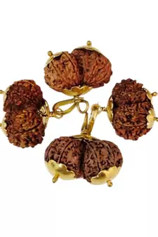 Original Shri Gauri Shankar Nepali Rudraksha Gold Plated Pendant at Wholesale Rate Chakra Healing Beads 1 Pcs