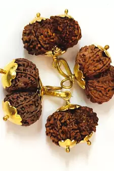 Original Shri Gauri Shankar Nepali Rudraksha Gold Plated Pendant at Wholesale Rate Chakra Healing Beads 1 Pcs