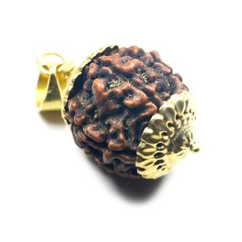 Original 7 Mukhi Indonesia Rudraksha Gold Plated Pendant at Wholesale Rate Chakra Healing Seven Faced Beads 1 Pcs 1