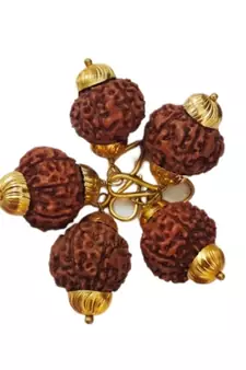Original 7 Mukhi Indonesia Rudraksha Gold Plated Pendant at Wholesale Rate Chakra Healing Seven Faced Beads 1 Pcs