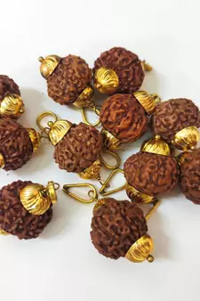 Original 7 Mukhi Indonesia Rudraksha Gold Plated Pendant at Wholesale Rate Chakra Healing Seven Faced Beads 1 Pcs