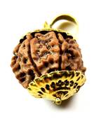 Original 9 Mukhi Indonesia Rudraksha Gold Plated Pendant at Wholesale Rate Chakra Healing Nine Faced Beads 1 Pcs