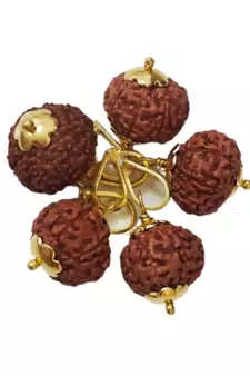 Original 9 Mukhi Indonesia Rudraksha Gold Plated Pendant at Wholesale Rate Chakra Healing Nine Faced Beads 1 Pcs
