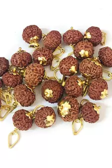 Original 9 Mukhi Indonesia Rudraksha Gold Plated Pendant at Wholesale Rate Chakra Healing Nine Faced Beads 1 Pcs