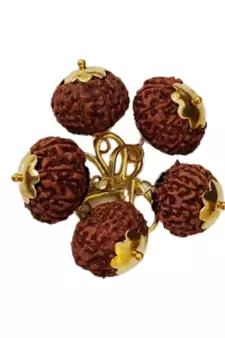 Original 10 Mukhi Indonesia Rudraksha Gold Plated Pendant at Wholesale Rate Chakra Healing Ten Faced Beads 1 Pcs