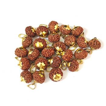Original 10 Mukhi Indonesia Rudraksha Gold Plated Pendant at Wholesale Rate Chakra Healing Ten Faced Beads 1 Pcs 3