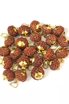 Original 10 Mukhi Indonesia Rudraksha Gold Plated Pendant at Wholesale Rate Chakra Healing Ten Faced Beads 1 Pcs