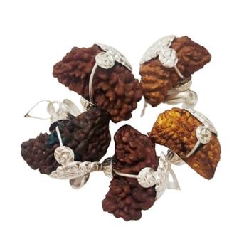 Original 1 Mukhi Nepali Rudraksha Silver Pendant at Wholesale Rate Chakra Healing Jewellery One Faced Beads 1 Pcs 2