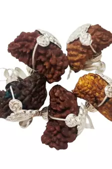 Original 1 Mukhi Nepali Rudraksha Silver Pendant at Wholesale Rate Chakra Healing Jewellery One Faced Beads 1 Pcs