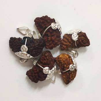 Original 1 Mukhi Nepali Rudraksha Silver Pendant at Wholesale Rate Chakra Healing Jewellery One Faced Beads 1 Pcs 3