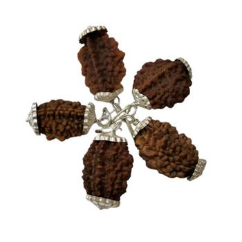 Original 2 Mukhi Nepali Rudraksha Silver Pendant at Wholesale Rate Chakra Healing Jewellery Two Faced Beads 1 Pcs 2
