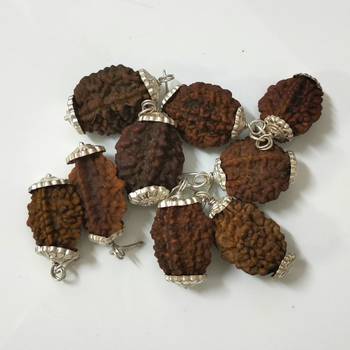 Original 2 Mukhi Nepali Rudraksha Silver Pendant at Wholesale Rate Chakra Healing Jewellery Two Faced Beads 1 Pcs 3