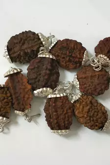 Original 2 Mukhi Nepali Rudraksha Silver Pendant at Wholesale Rate Chakra Healing Jewellery Two Faced Beads 1 Pcs