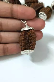 Original 2 Mukhi Nepali Rudraksha Silver Pendant at Wholesale Rate Chakra Healing Jewellery Two Faced Beads 1 Pcs