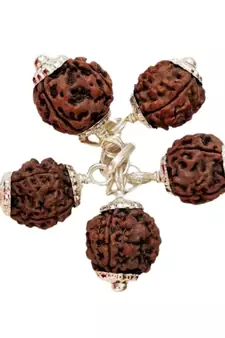 Original 4 Mukhi Nepali Rudraksha Silver Pendant at Wholesale Rate Chakra Healing Jewellery Four Faced Beads 1 Pcs